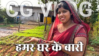 HAMAR GHAR KE KOLA BARI🍅🌶️  CG VLOG  NUTAN OFFICIAL [upl. by Ocirrej731]