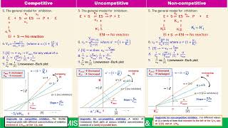 Competitive Vs Uncompetitive Vs Noncompetitive Reversible Enzyme Inhibition  Enzyme 26 [upl. by Zachary]