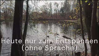 Zum Entspannen ohne Sprache 5112024 entspannung [upl. by Seabury]