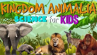 Animal Kingdom  Science for Kids [upl. by Krm]