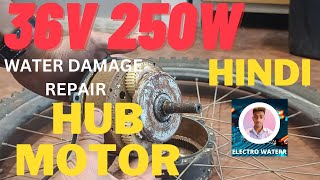 36v 250w Motor Repair  How to fix it step by step [upl. by Ferrigno]