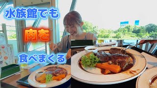 食べるの大好きガールズバンドのドラマーが水族館で肉に食らいつく [upl. by Ariaet]