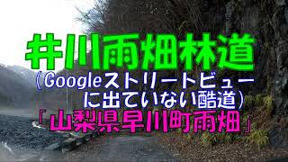 井川雨畑林道（Googleストリートビューに出てない道） [upl. by Ahel]