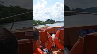 Andaman Boat Trip  Baratang Island Day Trip shorts viral youtubeshorts andamanandnicobar [upl. by Lyrem]