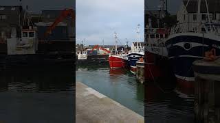 Kilkeel Harbour 🐟🦐 03042024 [upl. by Ammon828]