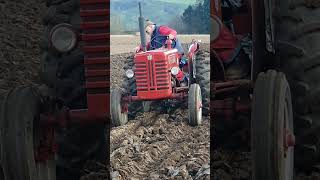 McCormick International B275 tractor at the Southwell Ploughing Match  Saturday 9th March 2024 [upl. by Suoicerp]