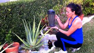 Recipe with Aloe Vera for Cancer Prevention [upl. by Harriman]