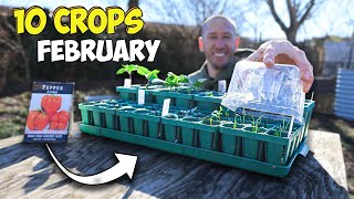 10 Crops youd be Foolish Not to Plant in February [upl. by Nosae984]