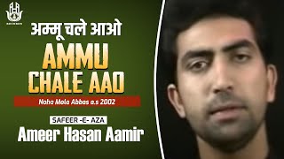 Ameer Hasan Aamir  Ammu Chale Aao  Noha 2002 [upl. by Nayd98]