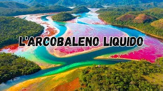 LArcobaleno Liquido del Parco della Sierra de la Macarena Colombia [upl. by Jeremias]