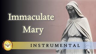 Immaculate Mary Instrumental version [upl. by Twila]