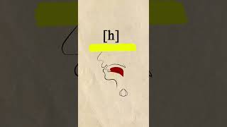 Voiced Glottal Fricative ɦ phonetics [upl. by Nuhsed]