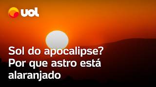 Sol do apocalipse Por que a poluição das queimadas deixa o céu alaranjado no Brasil confira [upl. by Ern]