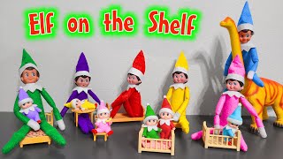 Elf on the Shelf 2020 All Colors Elf on the Shelf and Elf Babies [upl. by Osric]