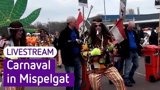 Carnavalsoptocht in Zaltbommel Mispelgat 2024  Omroep Gelderland [upl. by Benedix670]