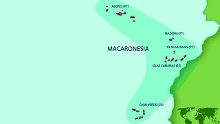 ¿Qué es la MACARONESIA [upl. by Nalad]