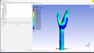 Numerical Results Wall Shear and Mass Flux  Steady Flow in an Artery [upl. by Aserret]