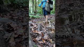 Puddle jumping and a muddy wellie walk through a forest built over mine shafts [upl. by Howes]