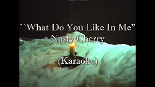 Karaoke Nasty Cherry  What Do You Like In Me Karaoke [upl. by Jemine]