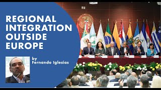 Regional integration outside Europe Following the federalist model  Fernando Iglesias [upl. by Aynos]