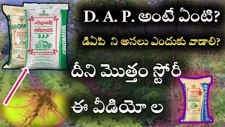 dap fertilizer uses in crops in telugu  dap fertilizer uses explain  dap fertilizer uses details [upl. by Odie928]