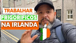 Trabalhar em frigoríficos na IRLANDA Oque precisa [upl. by Leia842]