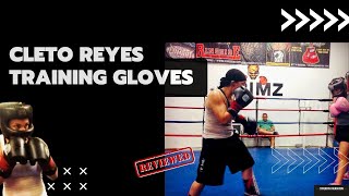 Cleto Reyes Training Gloves Review [upl. by Saibot421]