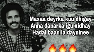 HEES  Daandaansi Caashaq  Maxamed Mooge Liibaan  Lyrics [upl. by Adiel]