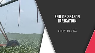 End of season Irrigation  Steve Melvin  August 09 2024 [upl. by Acsirp]