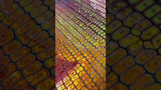 Acrylic pouring process acrylic pour colors artwork DIY pouring marbling effect resin finish tilt [upl. by Eiramoj]