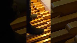 Crazy Pedal Solo on Pipe Organ 🤩 music organ church [upl. by Fee844]