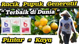 🔴 Racikan Jitu Pupuk Buah‼️ Pupuk Meroke Provit Maxi  Magnesium Sulfat  Pupuk Calnit Hasil Joss ✅ [upl. by Iong]