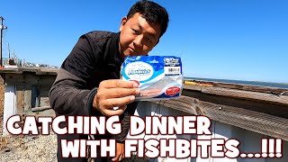 Using FISHBITES to Catch DINNER in NJ [upl. by Ahsiened]