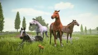 Rival Stars Horse Racing Game Play 2024 Alhadi YTBest game in the world Horse race [upl. by Landes]