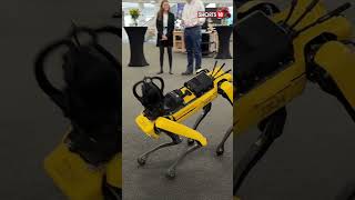 Spot The Robot Dog Learns New Tricks  Boston Dynamics Robot Dog Spot  Robot Dog Learns New Tricks [upl. by Shu]