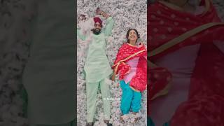 Wang da naap shorts 🎧 ammy Virk lyrics 💔🎧💫 short shorts ammyvirk punjabishorts statuswhatsapp [upl. by Eixela]