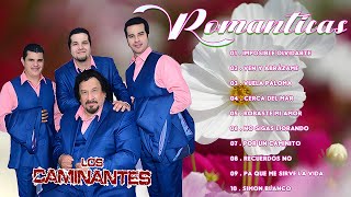 Los Caminantes 15 Rancheras Romanticas Perronas Éxitos❤️‍🔥Los Caminantes Mix Románticas Inolvidables [upl. by Anesor]