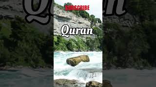 Surah Maryam  Ayat 19  Urdu Translation shorts shortsfeed ytshorts [upl. by Siuqaj940]