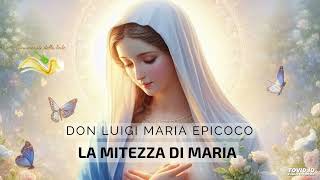 La mitezza di Maria Don Luigi Maria Epicoco [upl. by Celle]