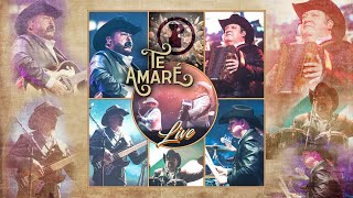 Pesado  Te Amaré En Vivo [upl. by Lose656]