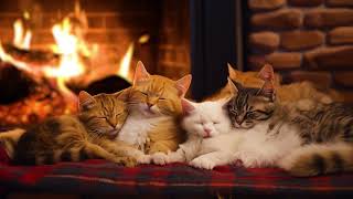 The Purring of Sleeping Kittens under a warm Fireplace 🔥 Relax and Sleep [upl. by Jodoin]