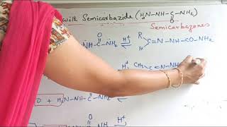 Condensation reactions of carbonyls with hydrazine 2 4Dinitrophenyl hydrazine semicarbazide NH3 [upl. by Lentha]