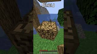 Minecraft mais si je touche la couleur Interdite   shorts [upl. by Salokin]