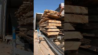 loading a kiln for drying wood [upl. by Asilram]