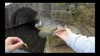 How to Find CRAPPIE in Lakes with No STRUCTURE [upl. by Lala480]