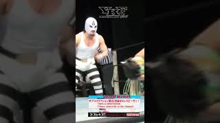 VKFエンターテインメント プロレス プロレスラー prowrestling 女子プロレス wrestling joshipro funny njpw wwe [upl. by Eissalc]