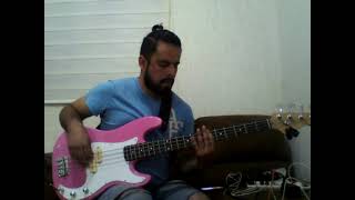 Grupo marranoel ansioso bass cover [upl. by Blinni120]