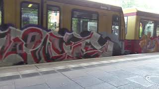 HAINE  BUREST Graffiti Subway Train SBahn Berlin 2024 [upl. by Malchus564]