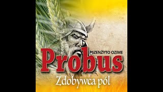 Pszenżyto ozime Probus [upl. by Codie]