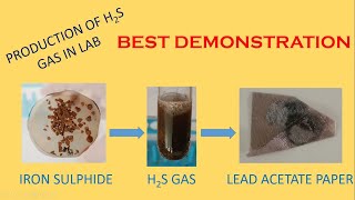 Hindi  H2S gas Production using FeS and dilH2SO4  Lead acetate paper test  Chem Demo  Std 10 [upl. by Notgnillew]